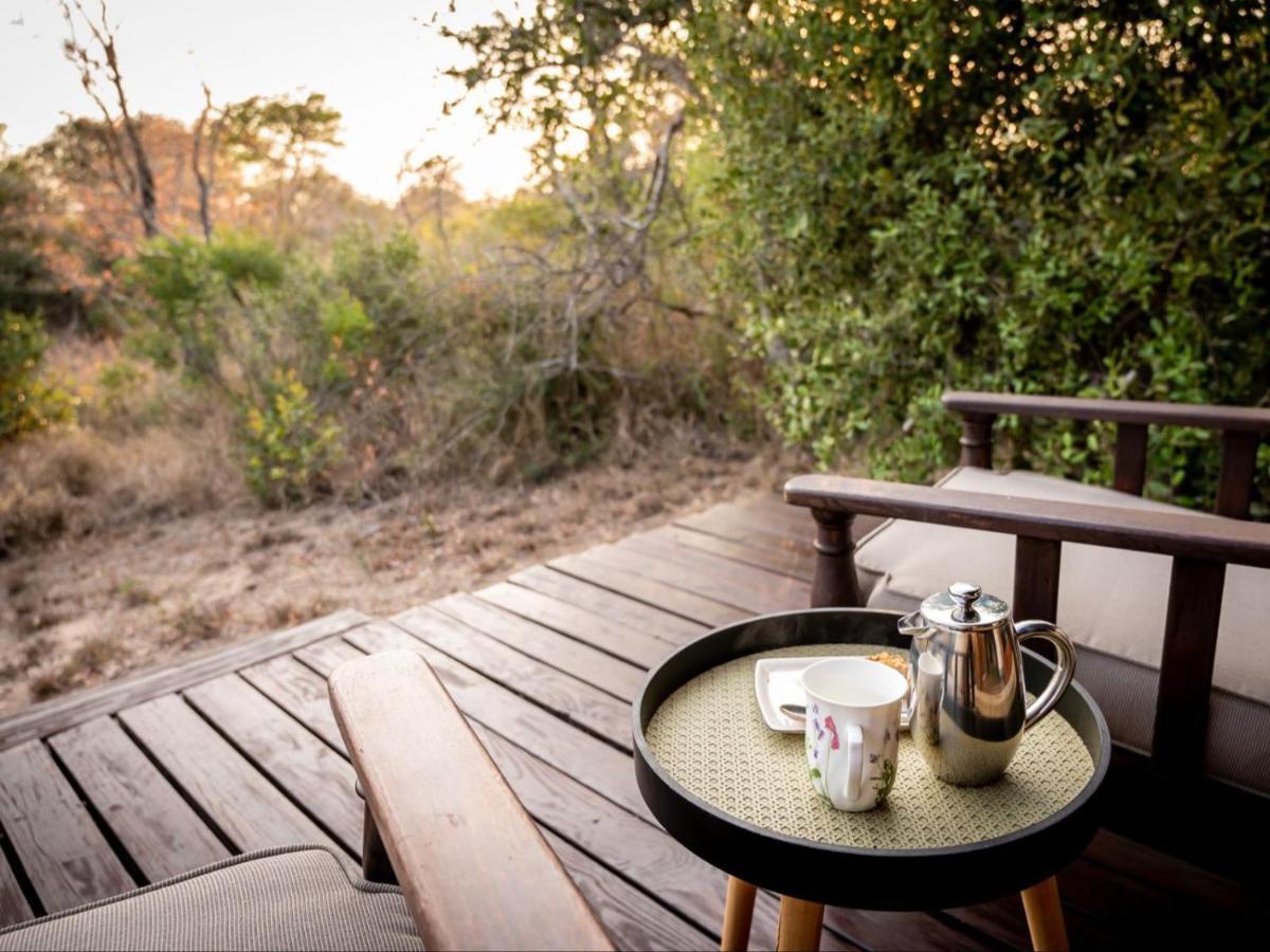 Shimungwe Lodge, Thornybush Game Reserve 侯斯普瑞特 外观 照片